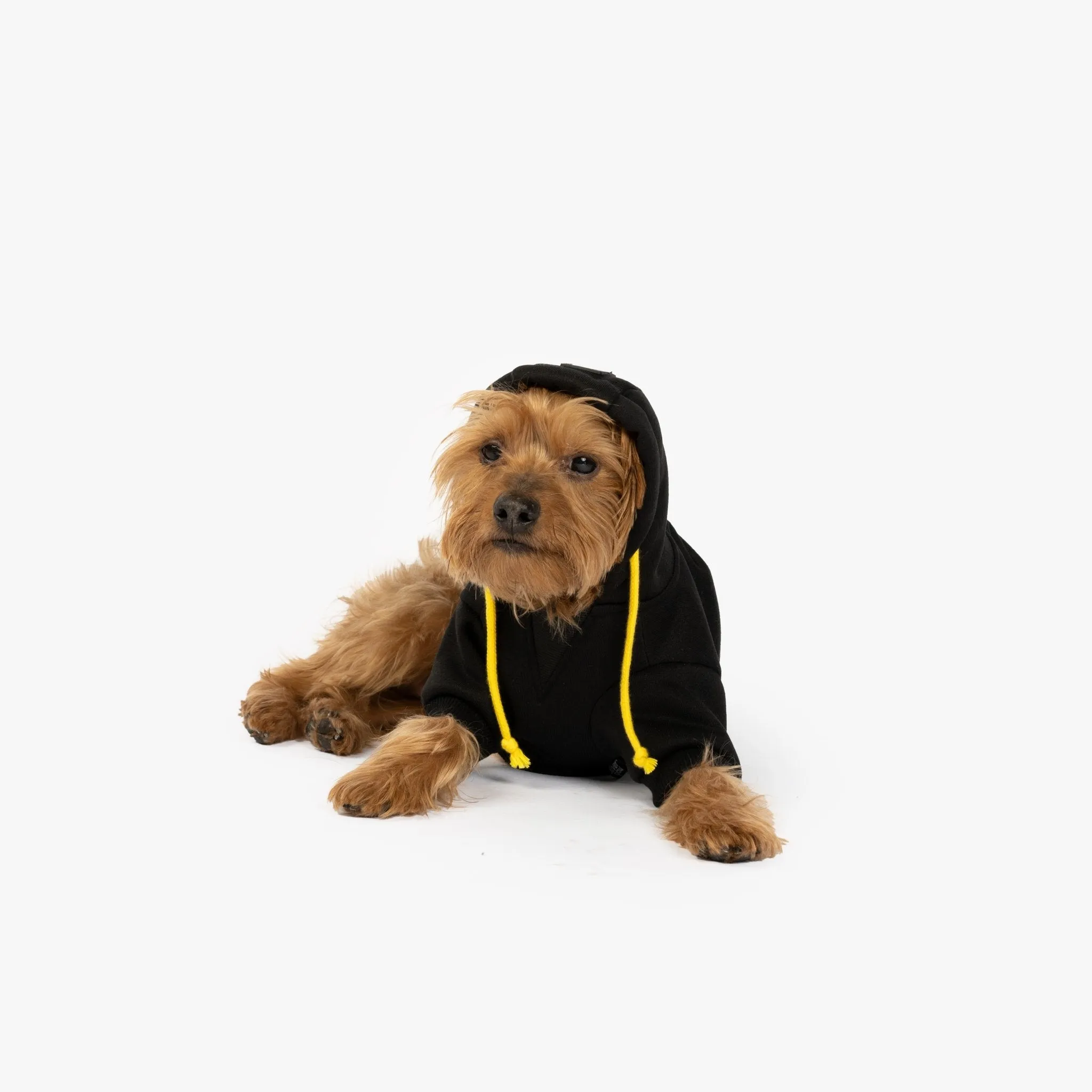 👕 Connor Dog Hoodie – Trendy & Comfortable Hoodie with Leash Access