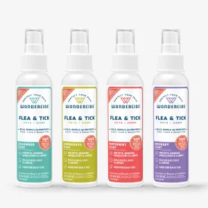 4 oz. Flea & Tick Spray for Pets   Home with Natural Essential Oils