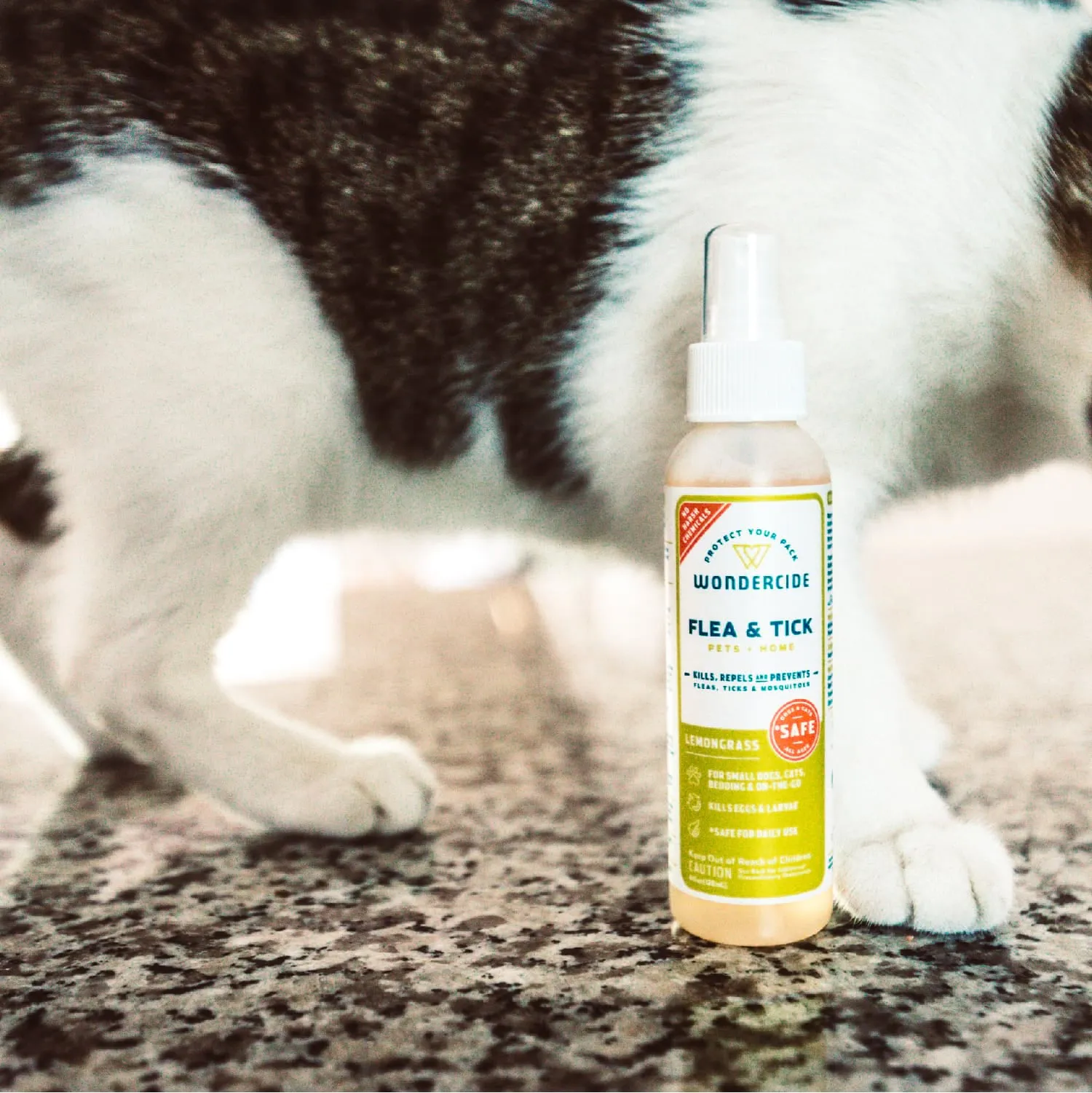 4 oz. Flea & Tick Spray for Pets   Home with Natural Essential Oils