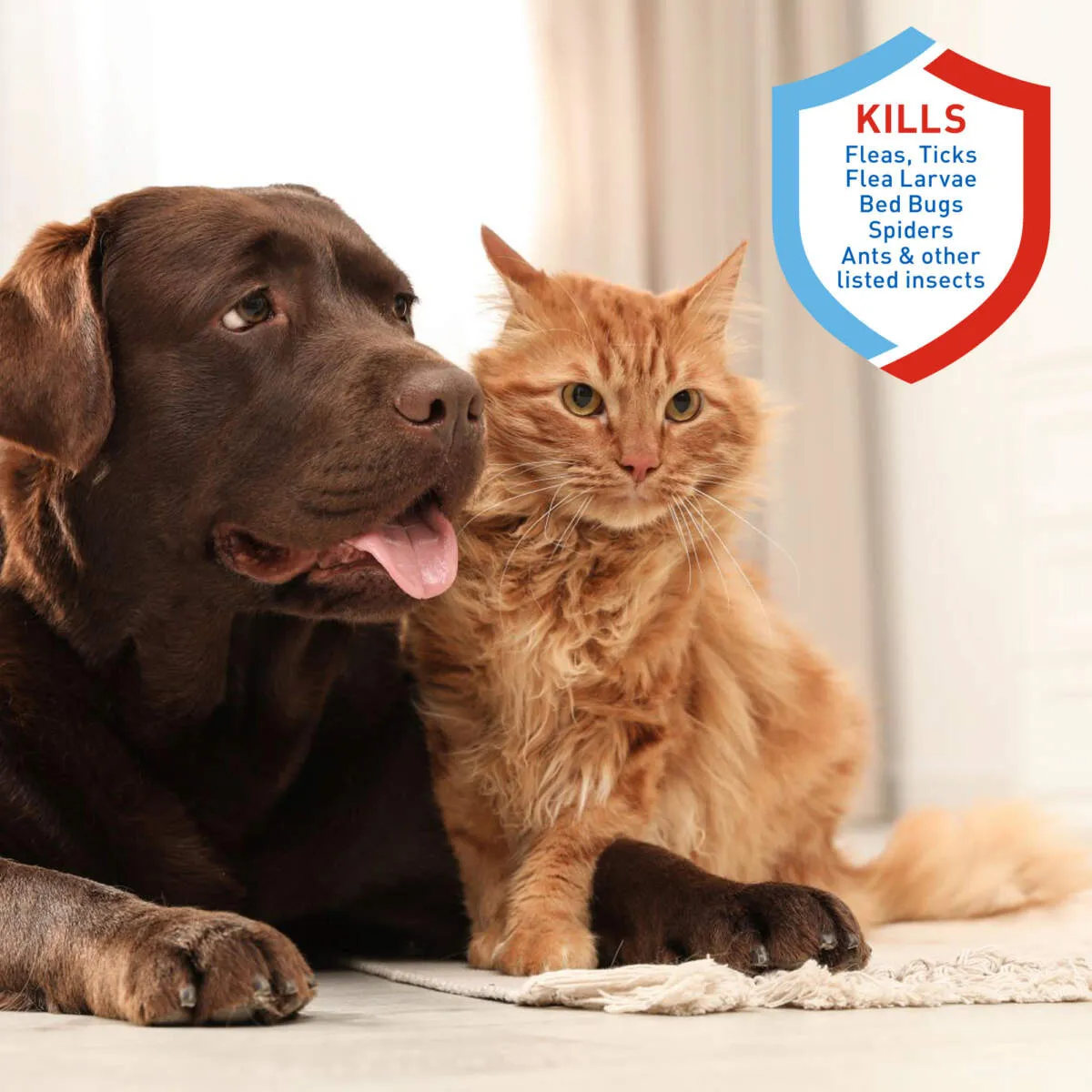 ADAMS PLUS FLEA & TICK CARPET SPRAY 16oz