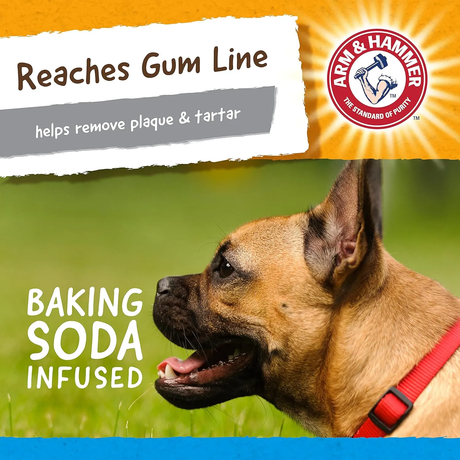 Arm & Hammer for Pets Nubbies Dental Toys Gator Dental Chew Toy for Dogs Best Dog Chew Toy for Moderate Chewers Reduces Plaque & Tartar Buildup Without Brushing, Gator (Pack of 1)