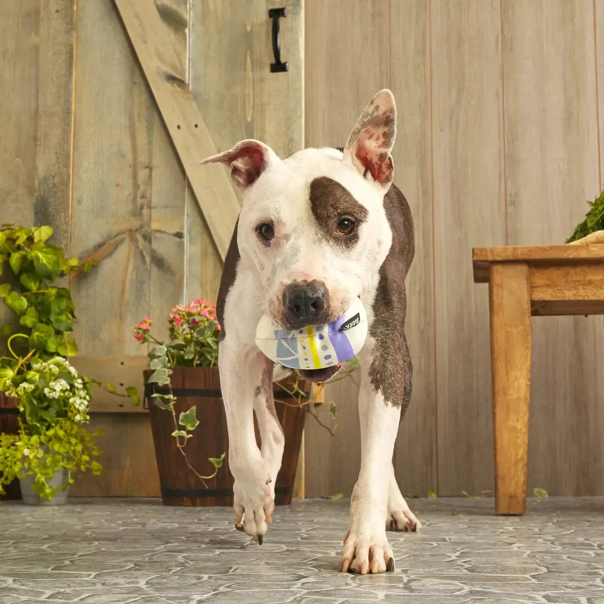 BARK Super Chewer Beaster Egg Dog Chew Toy