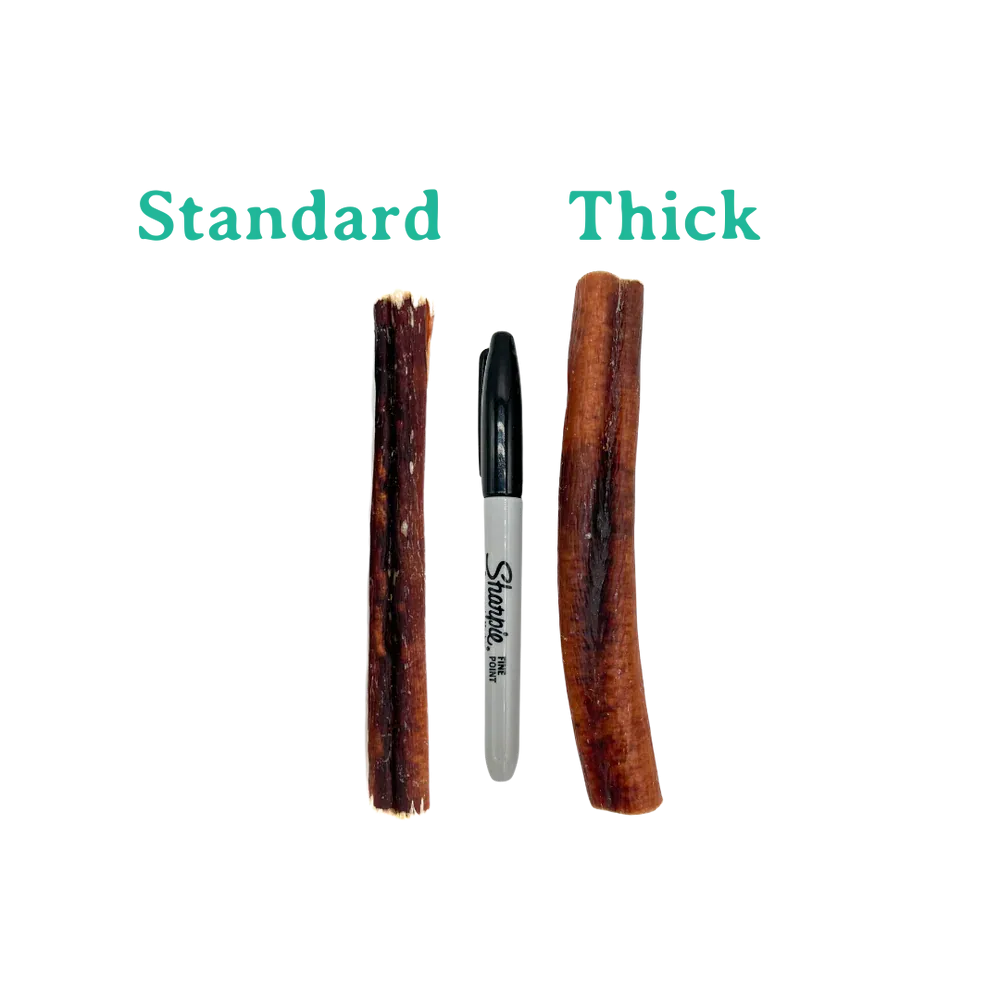 Beef Bully Stick Thick 12in - 5ct