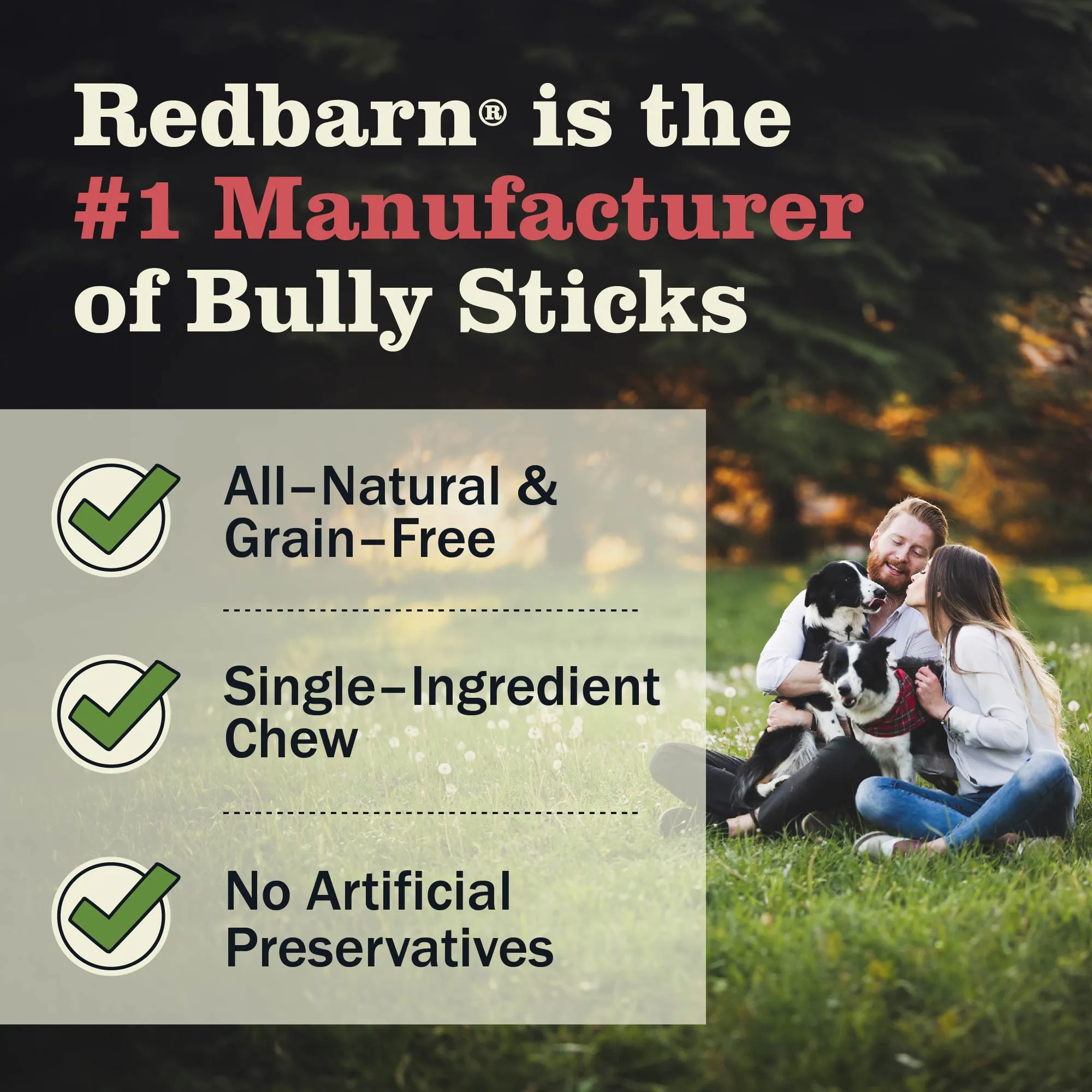 Braided Bully Stick Dog Chews - 7in - Single
