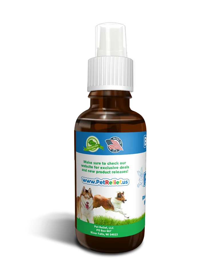 Bug & Pest Relief