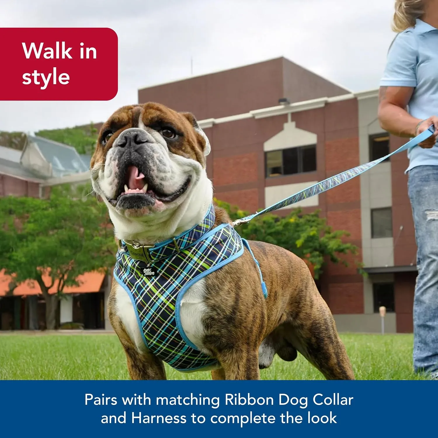 Coastal Pet Ribbon Dog Leash - Contemporary Stylish Look - Durable Fade-Resistant Nylon Material - Perfect for Dogs Brown Paws and Bones, 5/8" x 06'