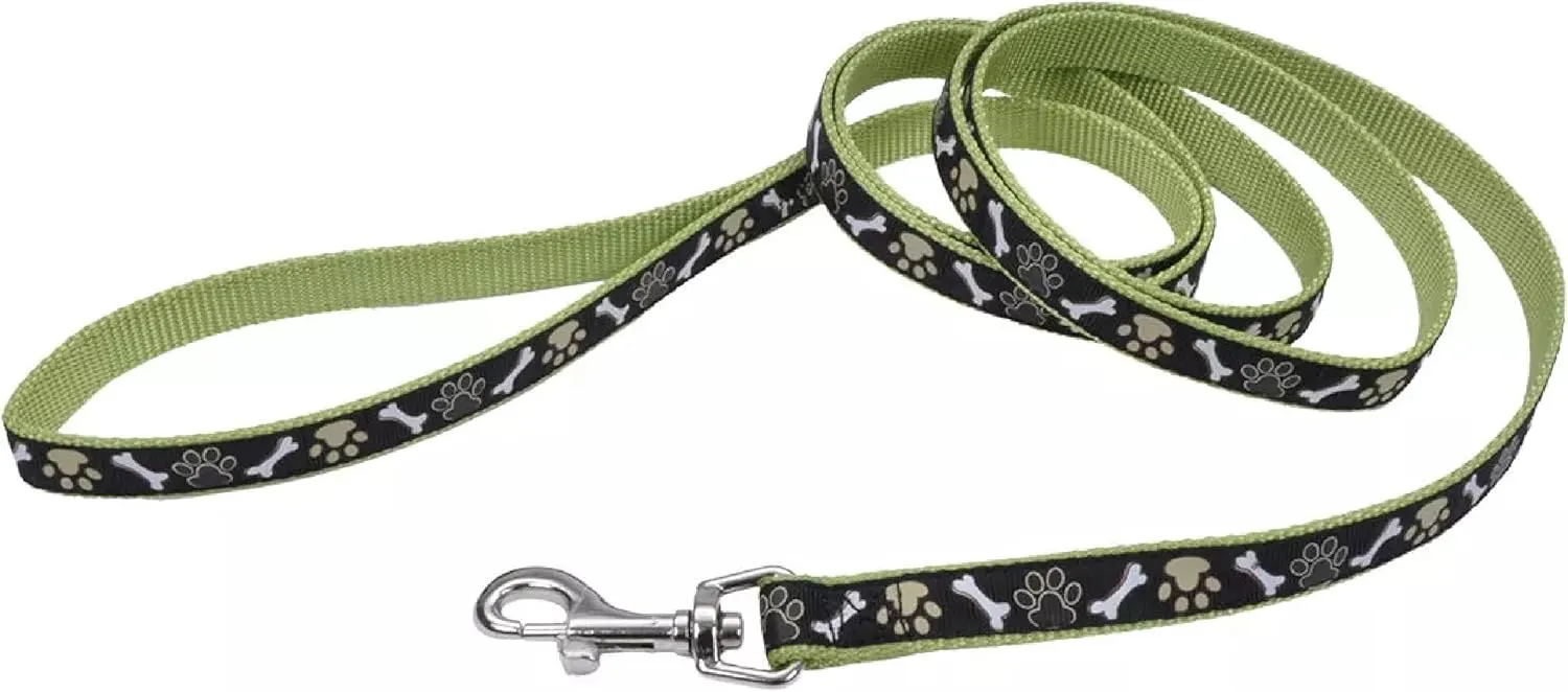 Coastal Pet Ribbon Dog Leash - Contemporary Stylish Look - Durable Fade-Resistant Nylon Material - Perfect for Dogs Brown Paws and Bones, 5/8" x 06'