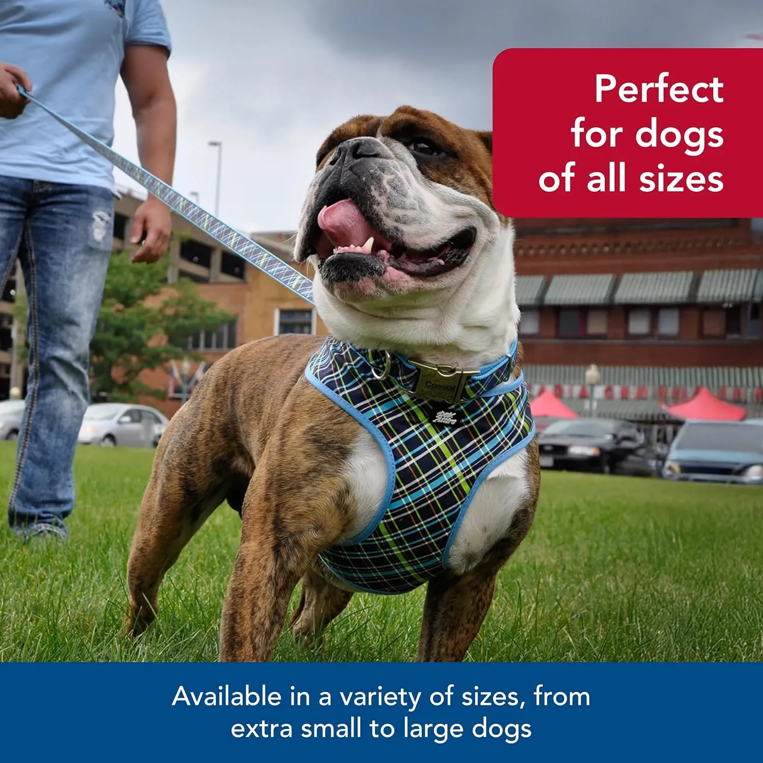 Coastal Pet Ribbon Dog Leash - Contemporary Stylish Look - Durable Fade-Resistant Nylon Material - Perfect for Dogs Brown Paws and Bones, 5/8" x 06'