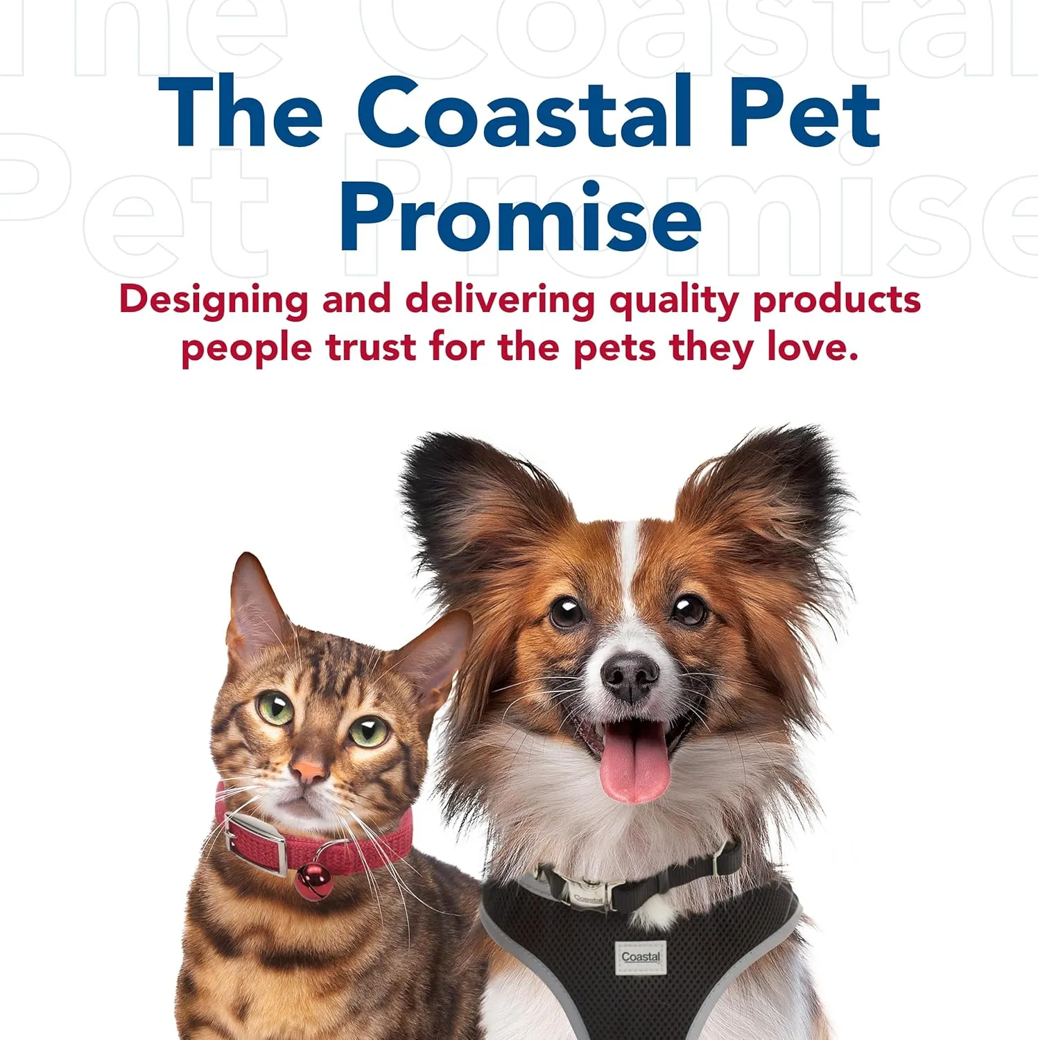 Coastal Pet Ribbon Dog Leash - Contemporary Stylish Look - Durable Fade-Resistant Nylon Material - Perfect for Dogs Brown Paws and Bones, 5/8" x 06'