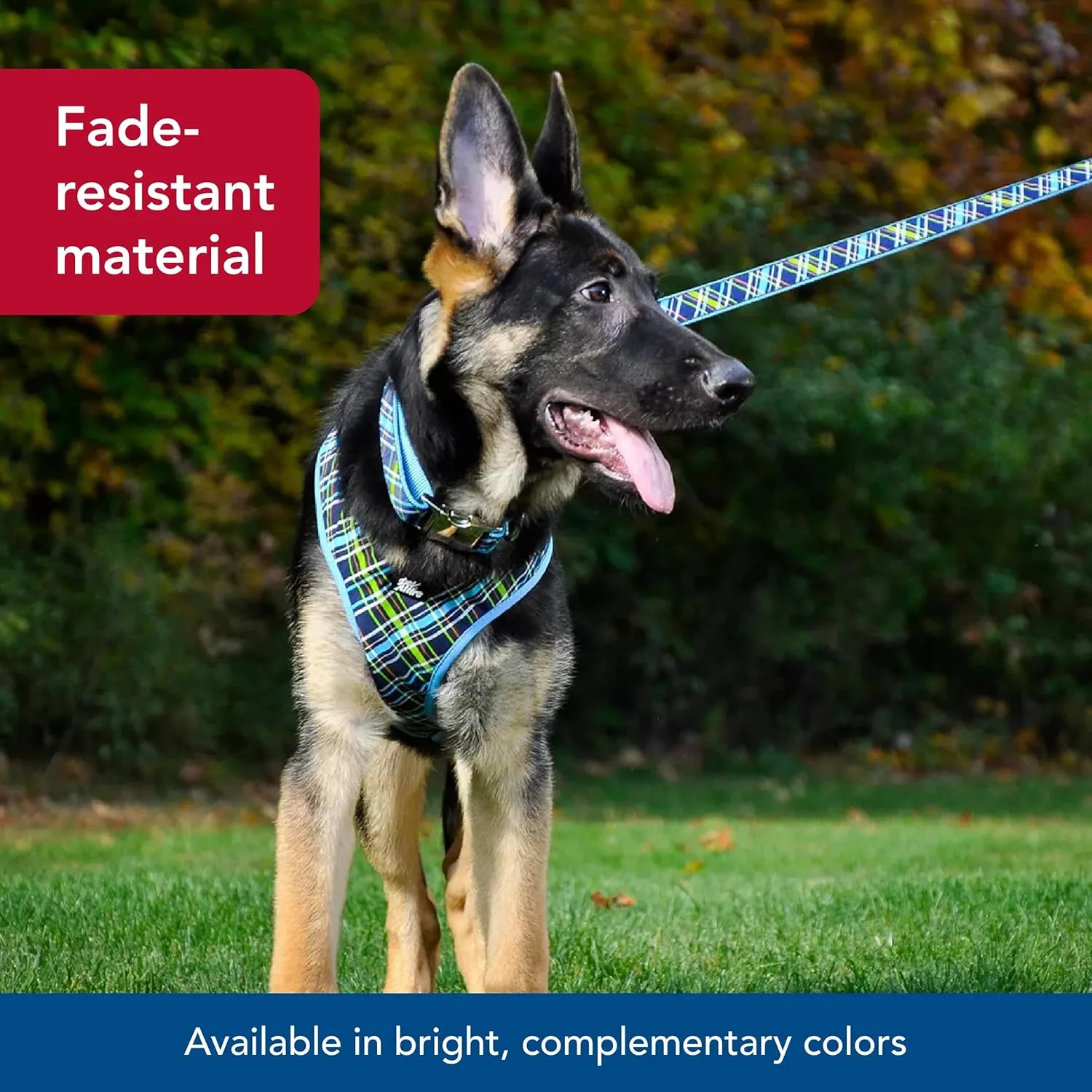 Coastal Pet Ribbon Dog Leash - Contemporary Stylish Look - Durable Fade-Resistant Nylon Material - Perfect for Dogs Brown Paws and Bones, 5/8" x 06'