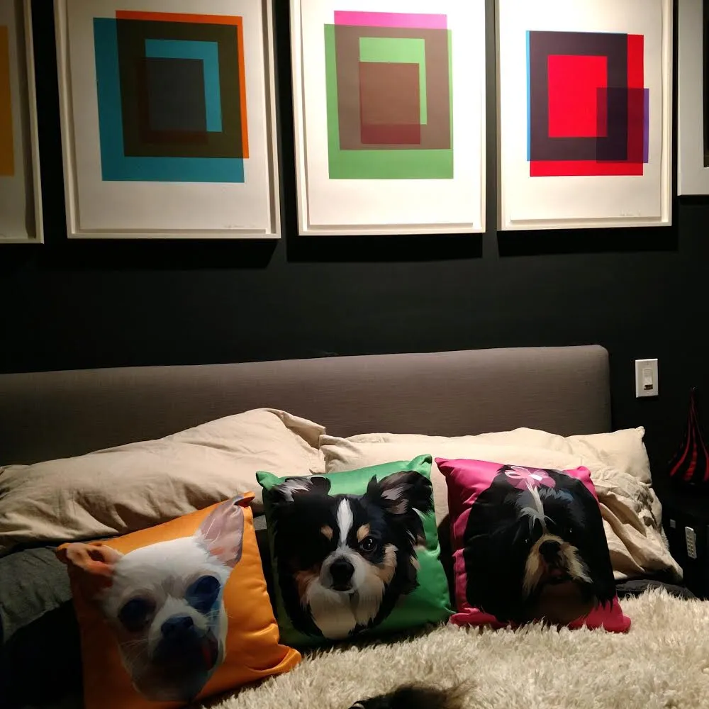 Custom Print Pet Pillow