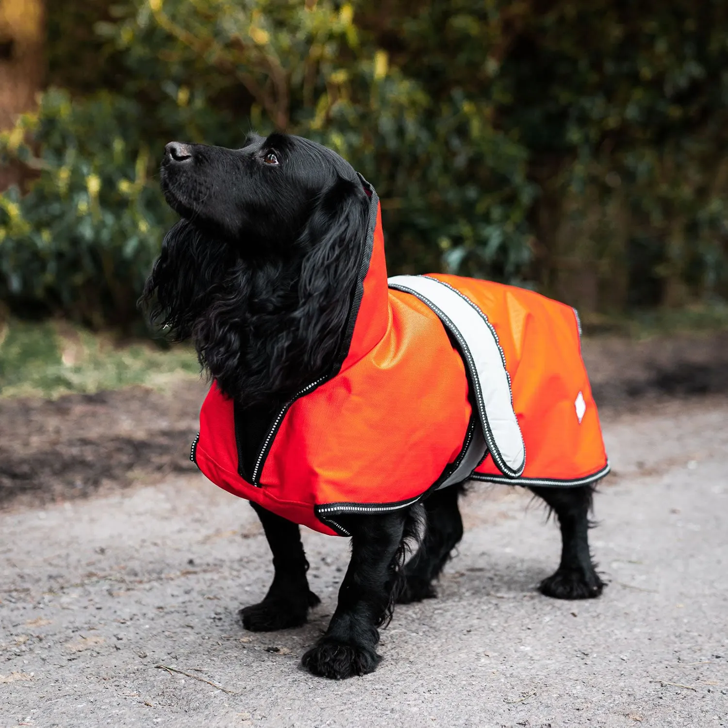 Danish Design - 2 In 1 Dog Coat - Orange - 75cm (30")