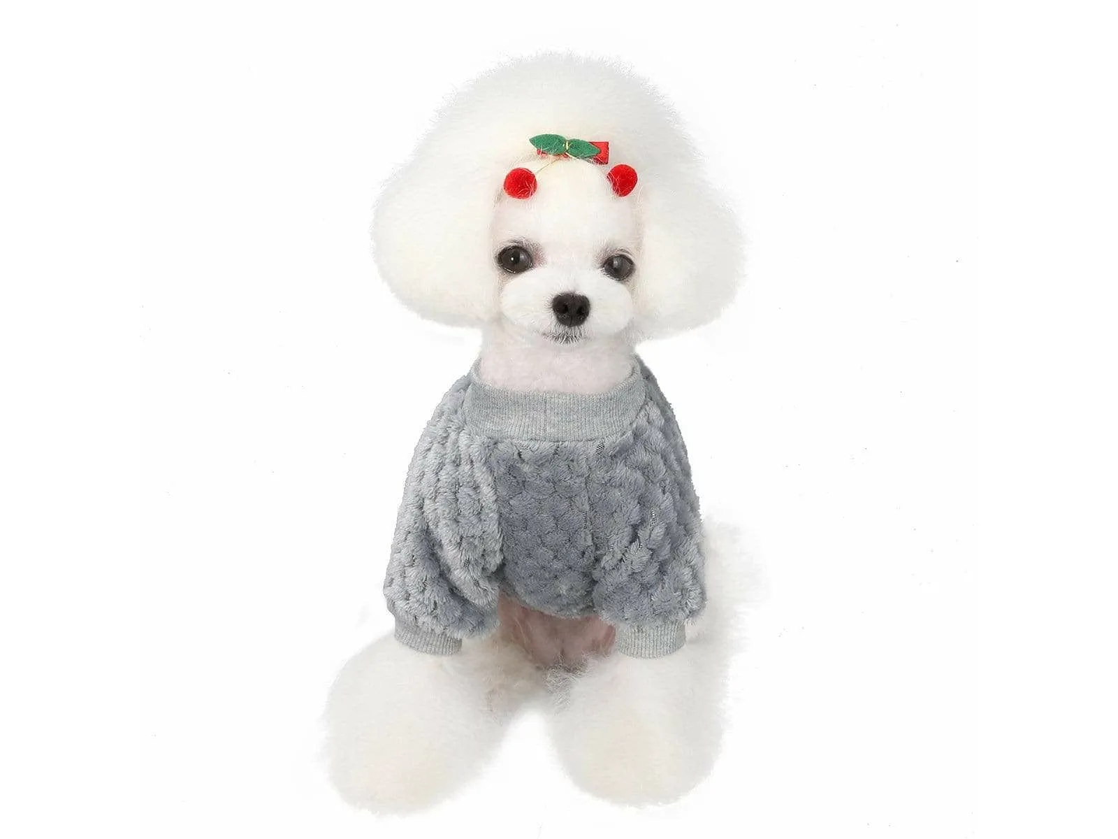 dog clothes Grey S AWYP-202001