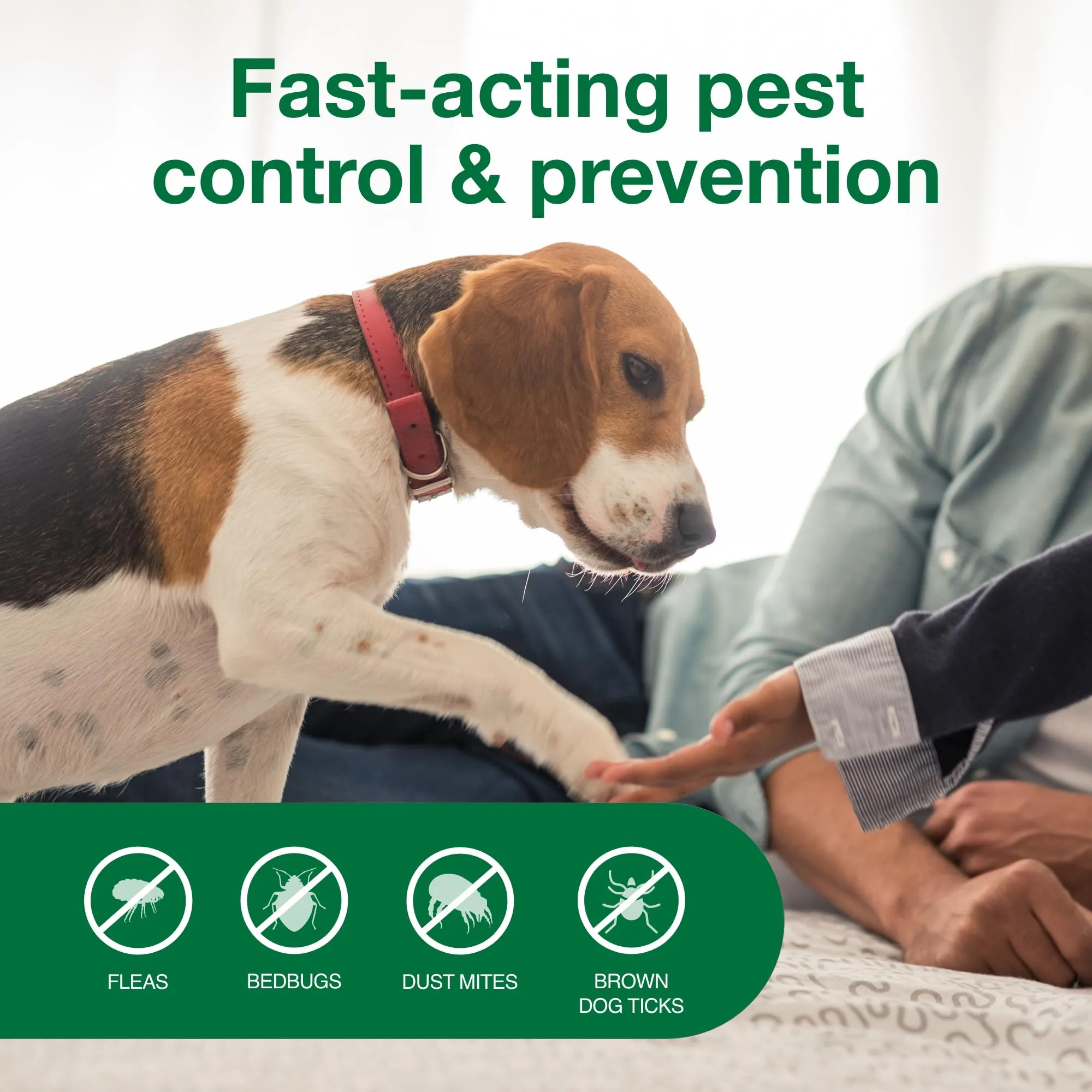 Elanco Advantage Carpet and Opholstrey Flea and Tick Household Spot Spray - 16 Oz