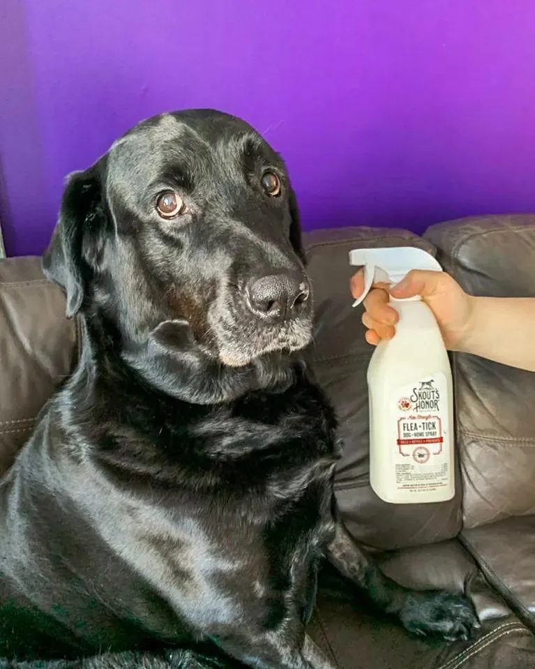 Flea Tick Dog & Home Bundle