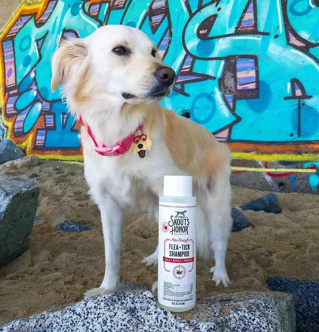 Flea Tick Dog & Home Bundle