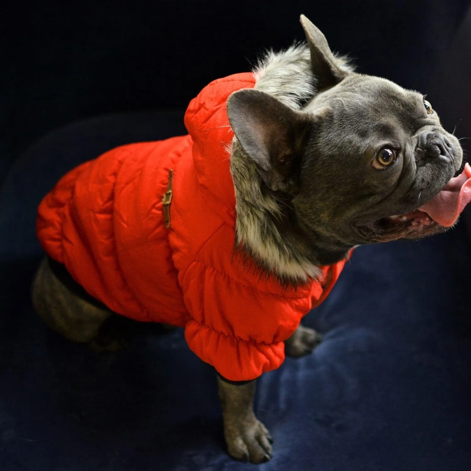 Fur Hoodie Dog Coat