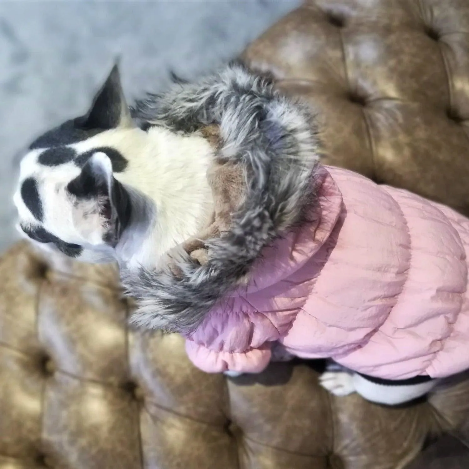 Fur Hoodie Dog Coat