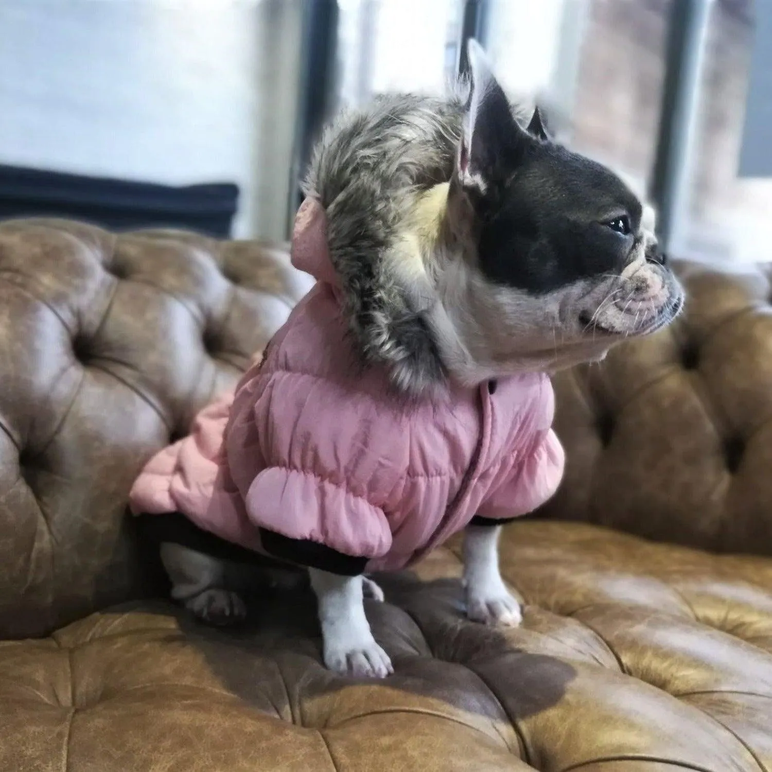 Fur Hoodie Dog Coat