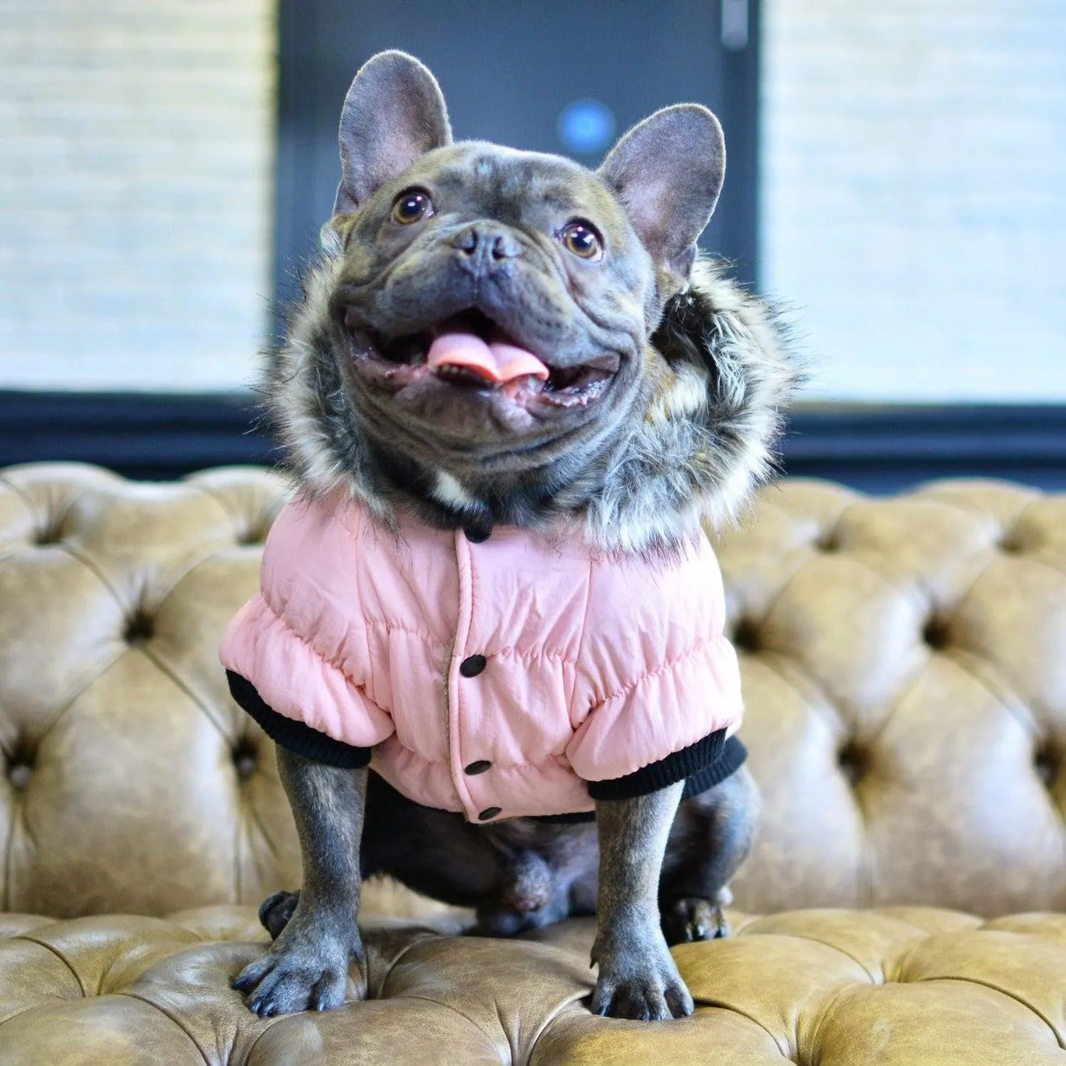 Fur Hoodie Dog Coat