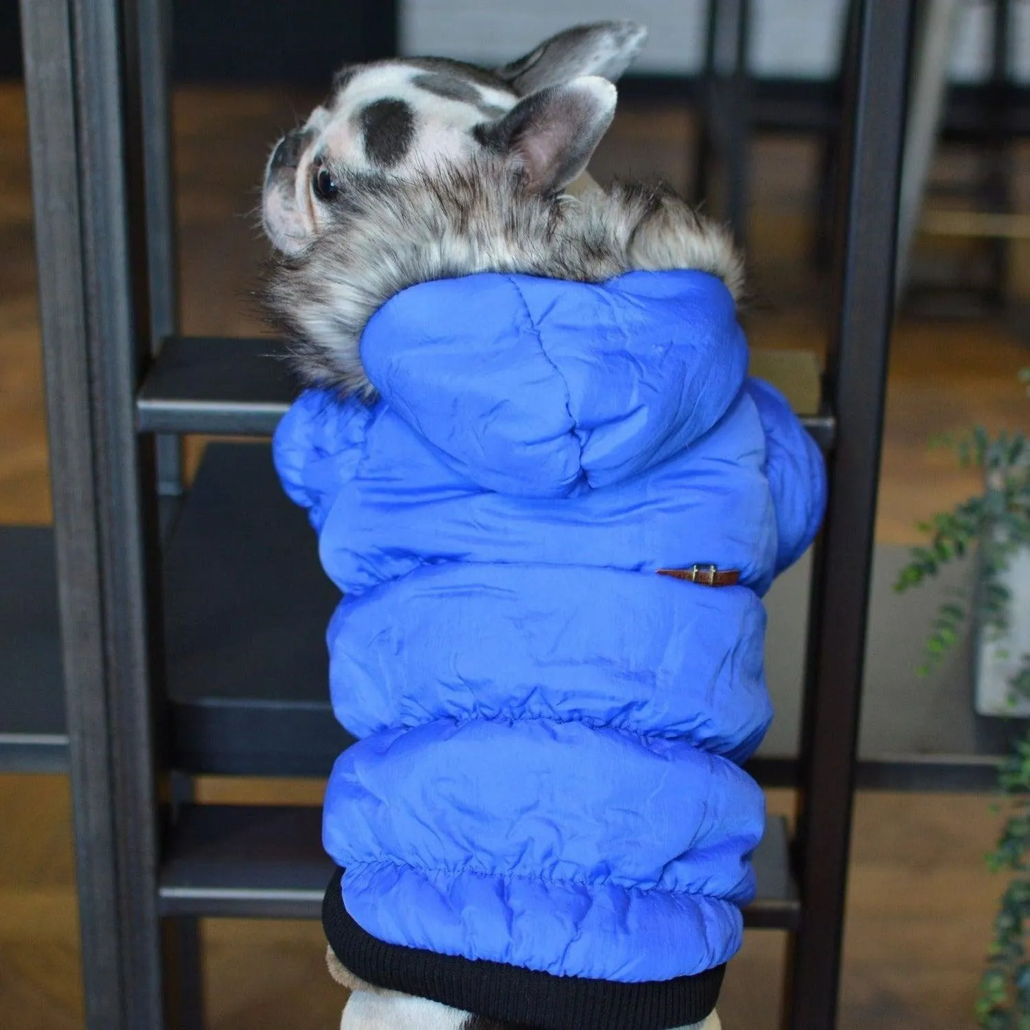 Fur Hoodie Dog Coat
