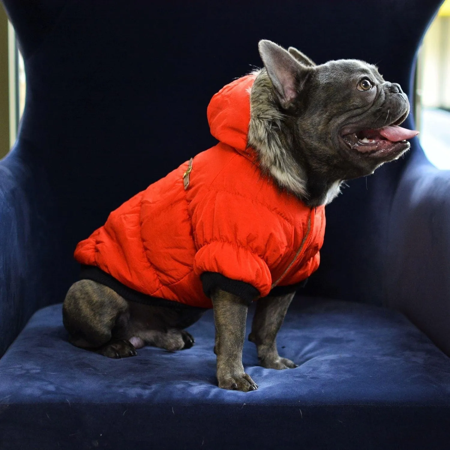 Fur Hoodie Dog Coat