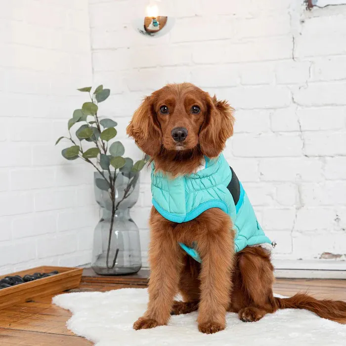 GF Pet Alpine Puffer Jacket