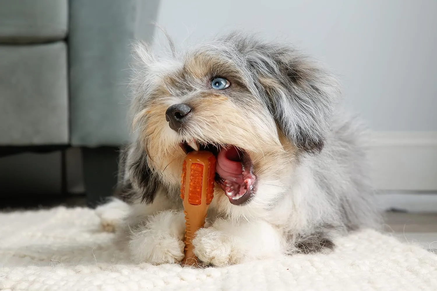 Hartz Chew n Clean Chew Toy and Treat in One Chicken Flavored Drumstick Dog Toy, Extra Small