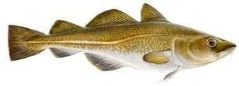 Icelandic  Cod Skin Pieces Dog Treats (3 pack)