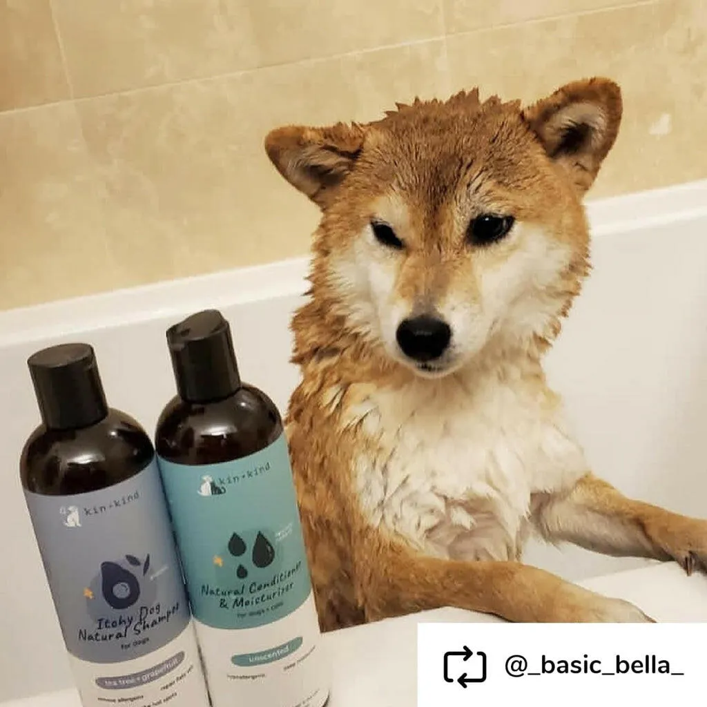kin kind Itchy Dog Tea Tree & Grapefruit Shampoo for Dogs (12 oz)