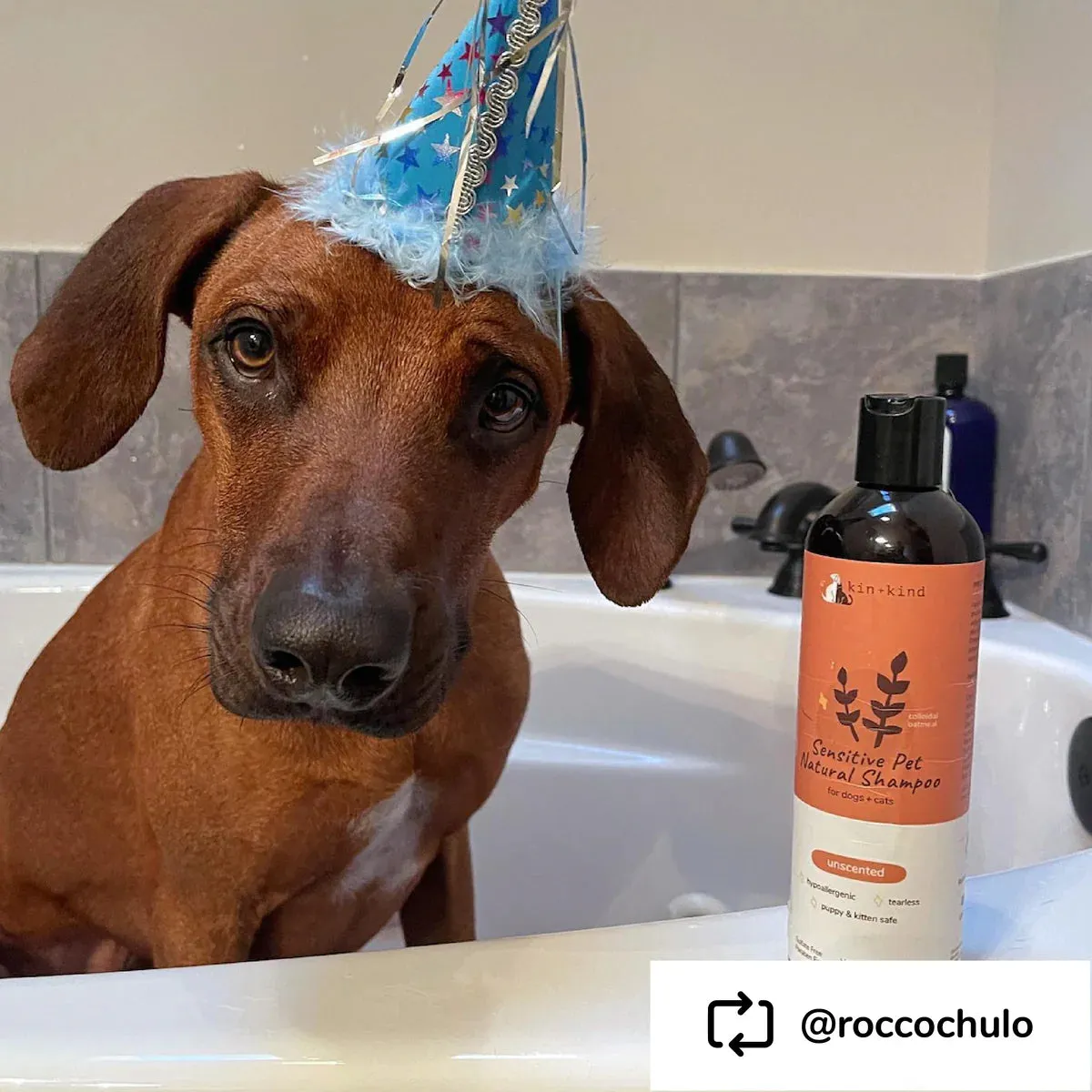 Kin   Kind Sensitive Skin Shampoo for Puppies & Kittens (Unscented) 12 oz