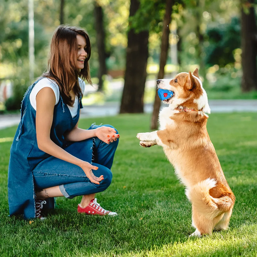 MASBRILL Rubber Dog Chew Toys, Treat Food Dispensing Dog Toys for Teeth Cleaning, Interactive Dog Toys for Small Medium Large Dogs