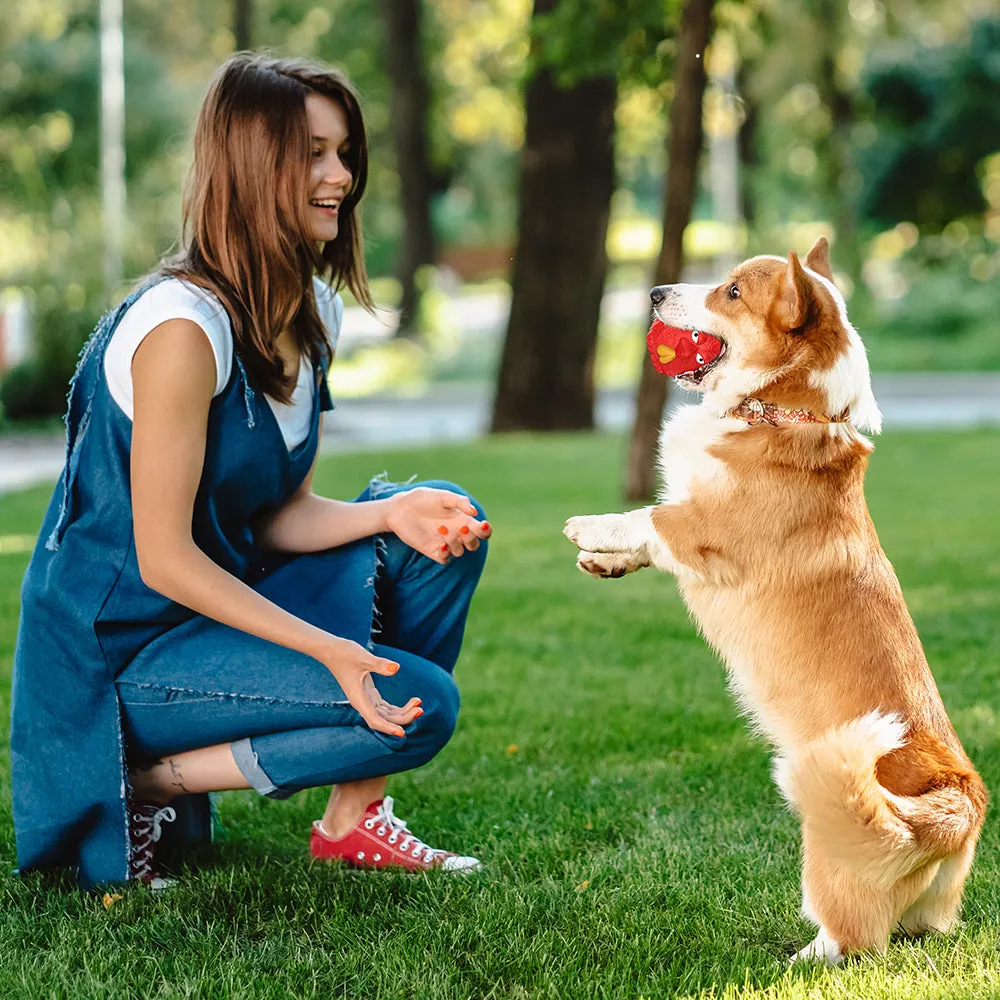 MASBRILL Rubber Dog Chew Toys, Treat Food Dispensing Dog Toys for Teeth Cleaning, Interactive Dog Toys for Small Medium Large Dogs