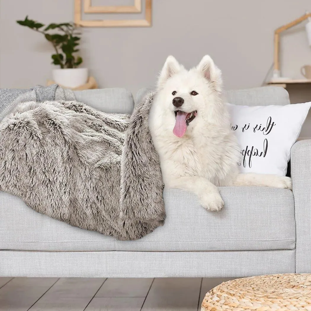PaWz Pet Calming Blanket