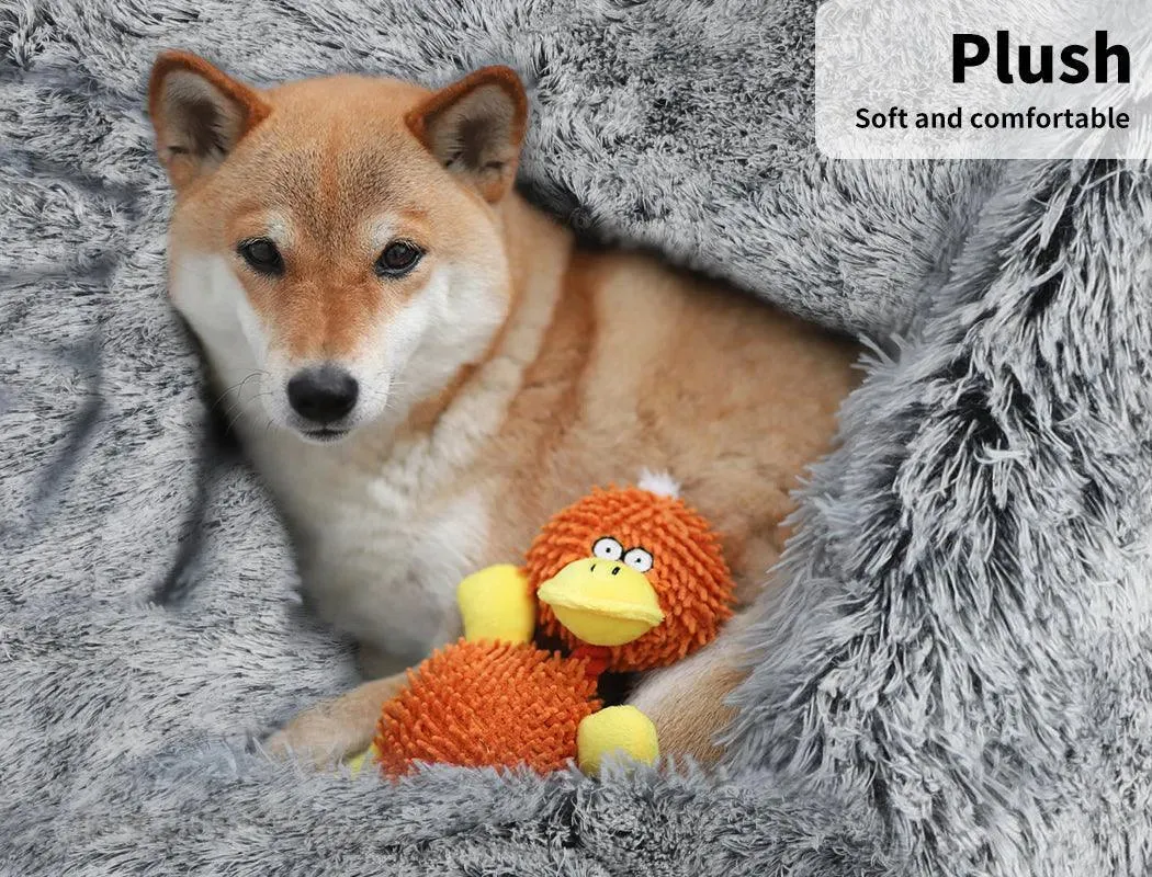 PaWz Pet Calming Blanket