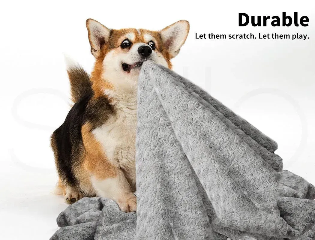 PaWz Pet Calming Blanket
