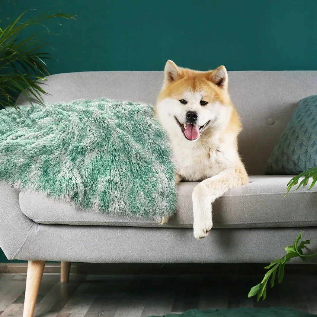 PaWz Pet Calming Blanket