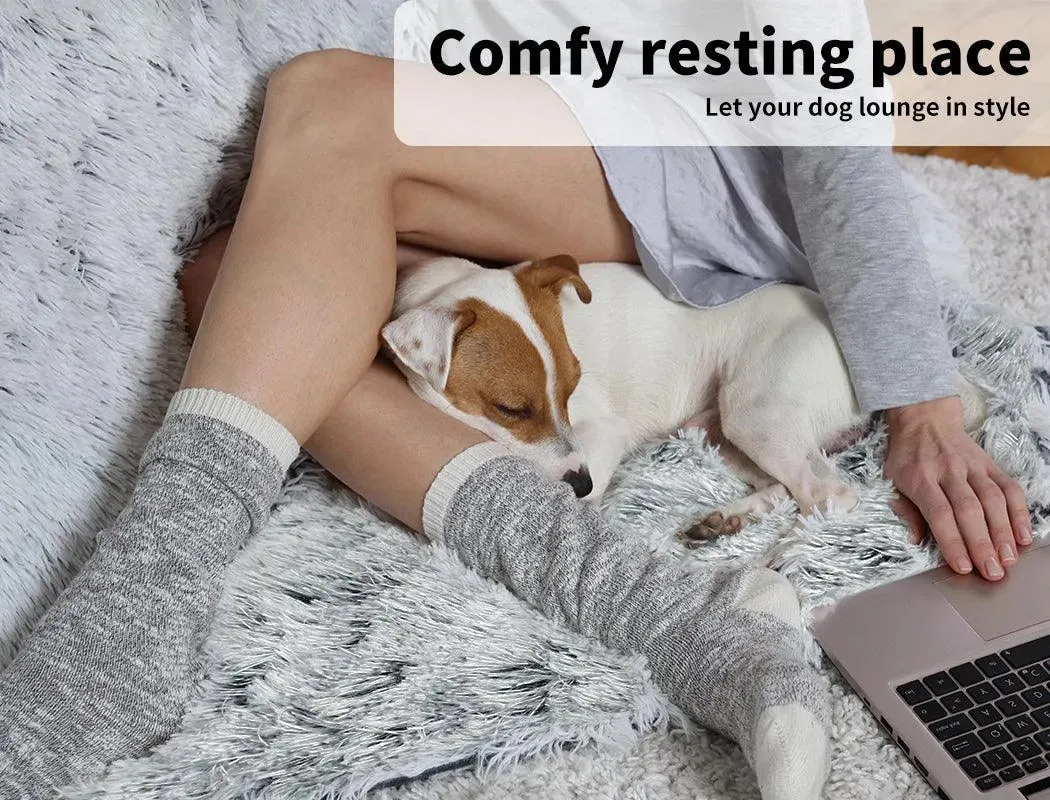 PaWz Pet Calming Blanket