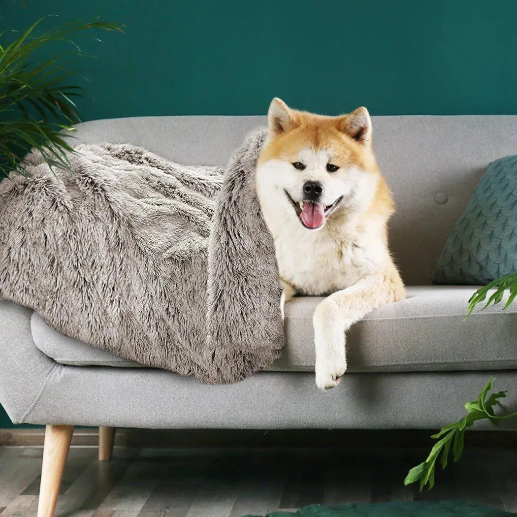 PaWz Pet Calming Blanket
