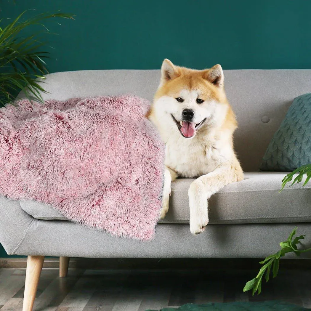 PaWz Pet Calming Blanket