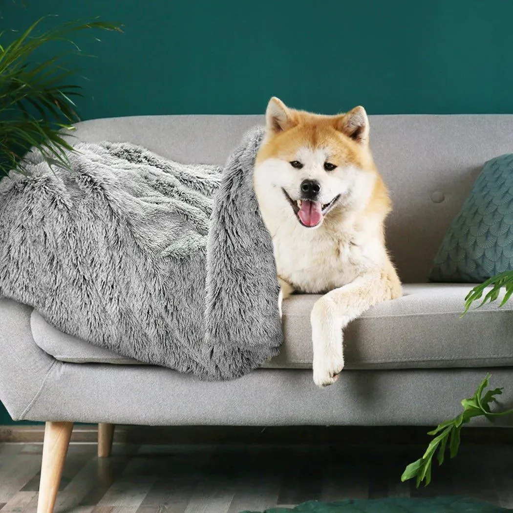 PaWz Pet Calming Blanket