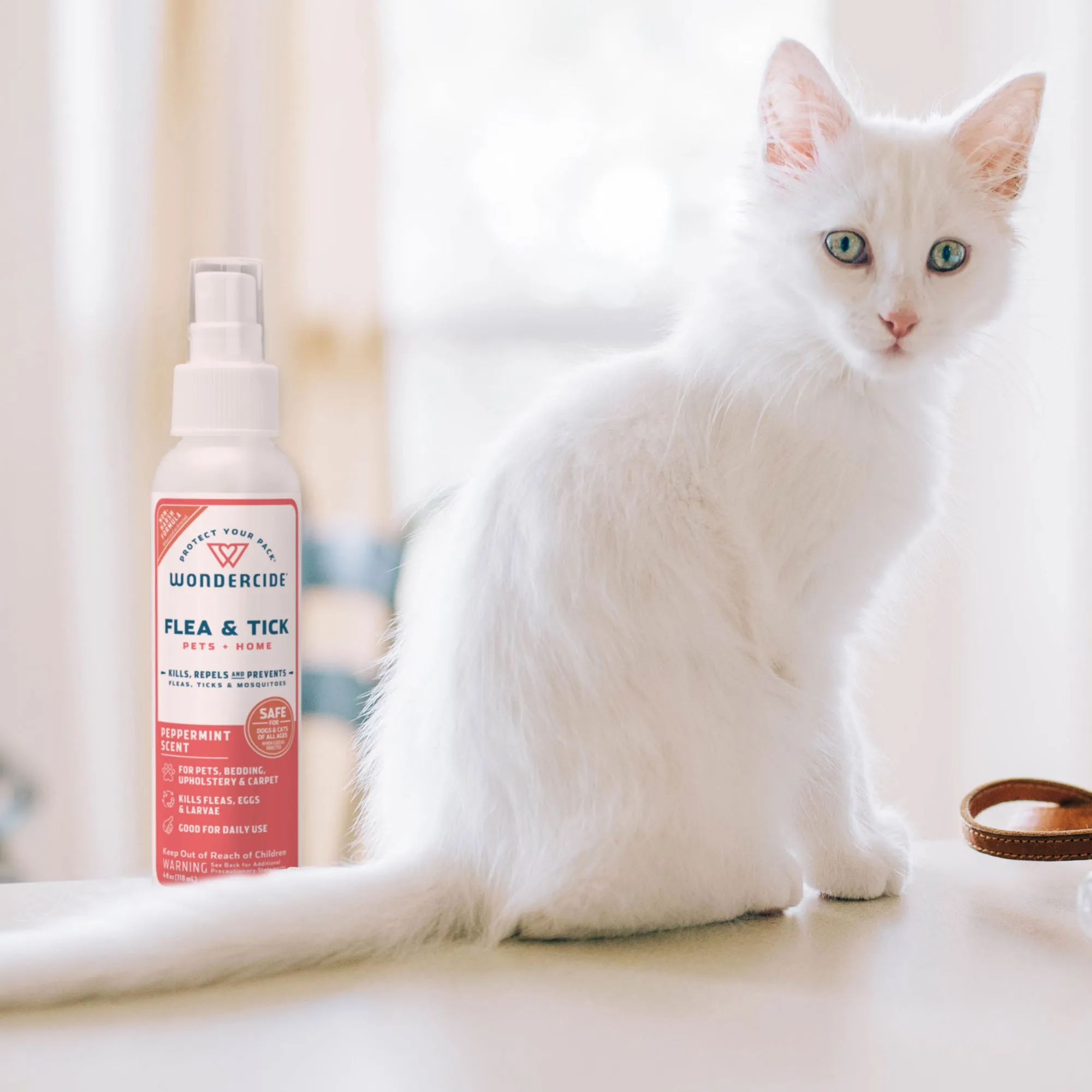 Peppermint Flea & Tick Spray for Pets   Home with Natural Essential Oils