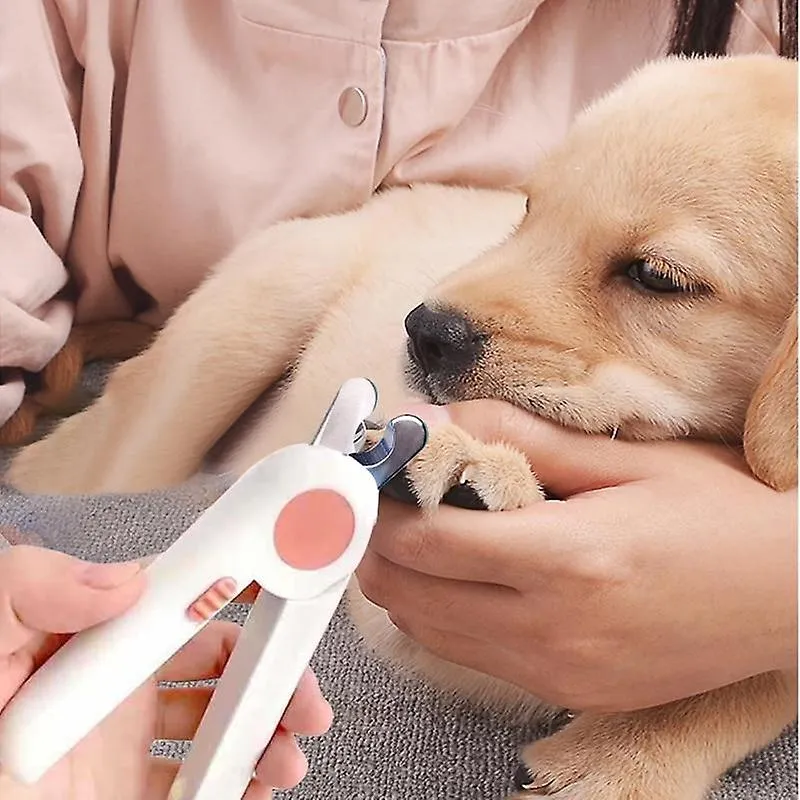 Pet nail tools led light pet nail trimmer anti-blood position nail clippers tool pet supplies hga006095-pink