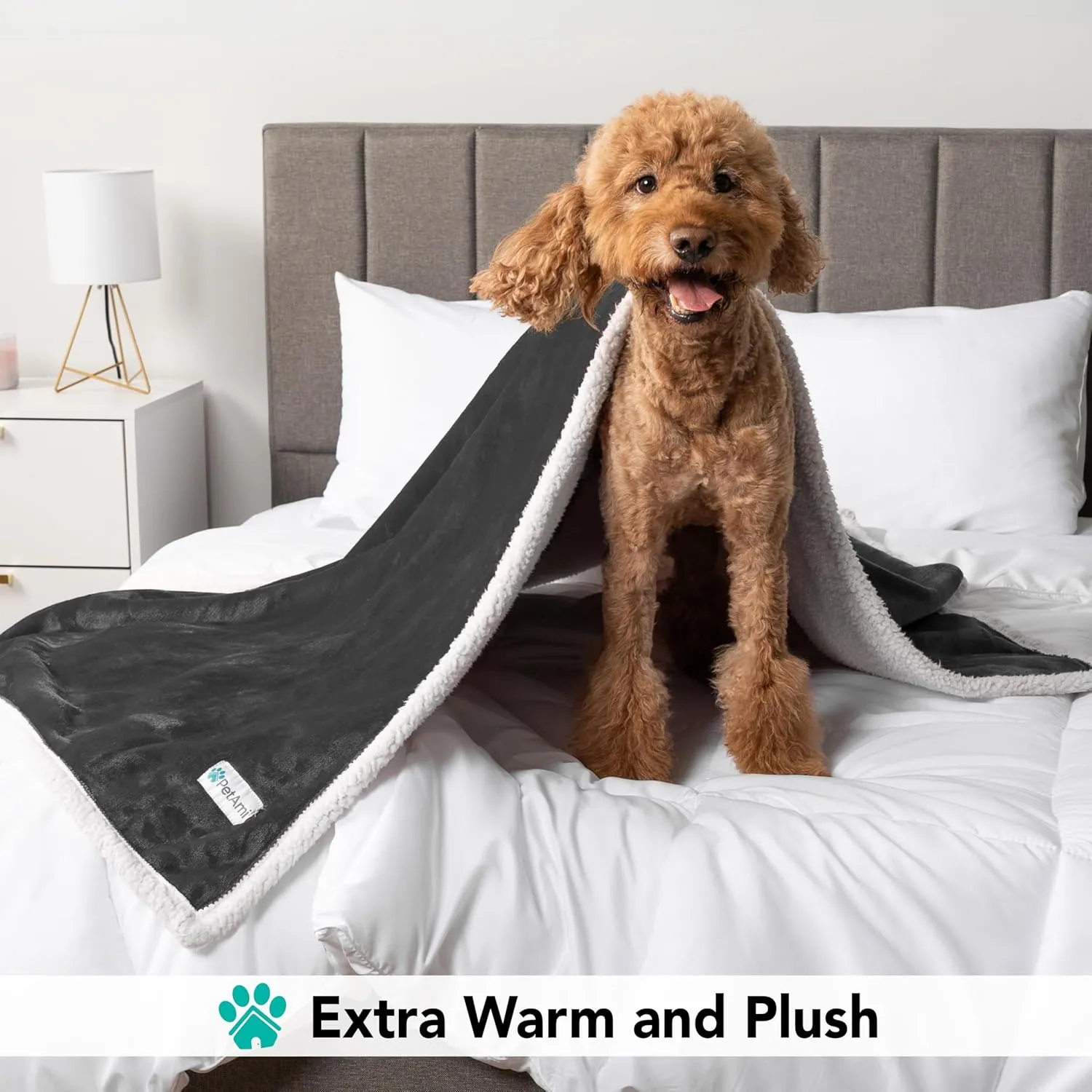 PetAmi Dog Blanket for Medium Large Dogs, Pet Bed Blanket Cat Puppy Kitten, Fleece Furniture Couch Cover Protector Sofa Car, Soft Sherpa Dog Throw Plush Reversible Washable, 40x60 Dark Gray