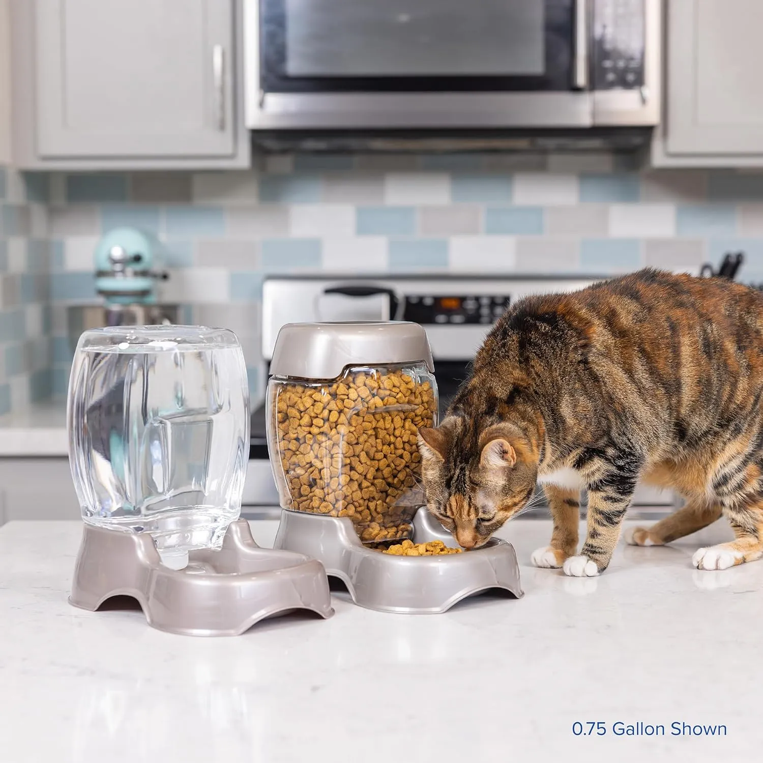Petmate Pet Cafe Cat and Dog Water Dispenser - Water Bowl for Cats and Dogs, USA Made, .25 GAL, Pearl Ash Blue
