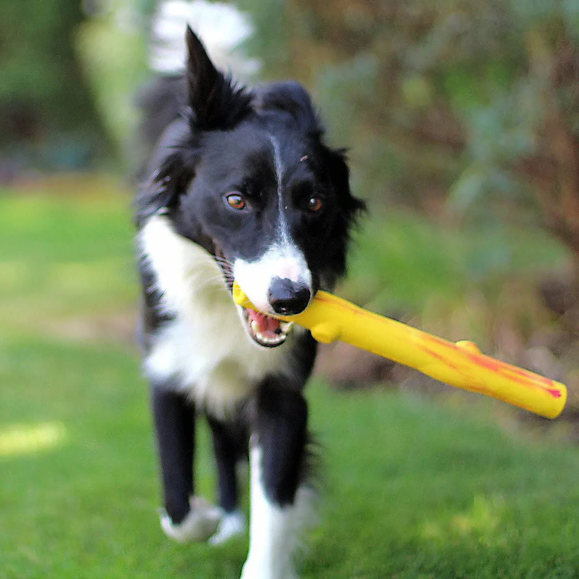 Ruff Dawg Stick