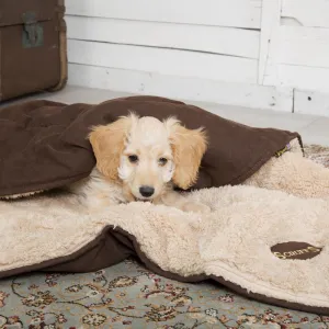 Scruffs Snuggle Blanket Dog Bed