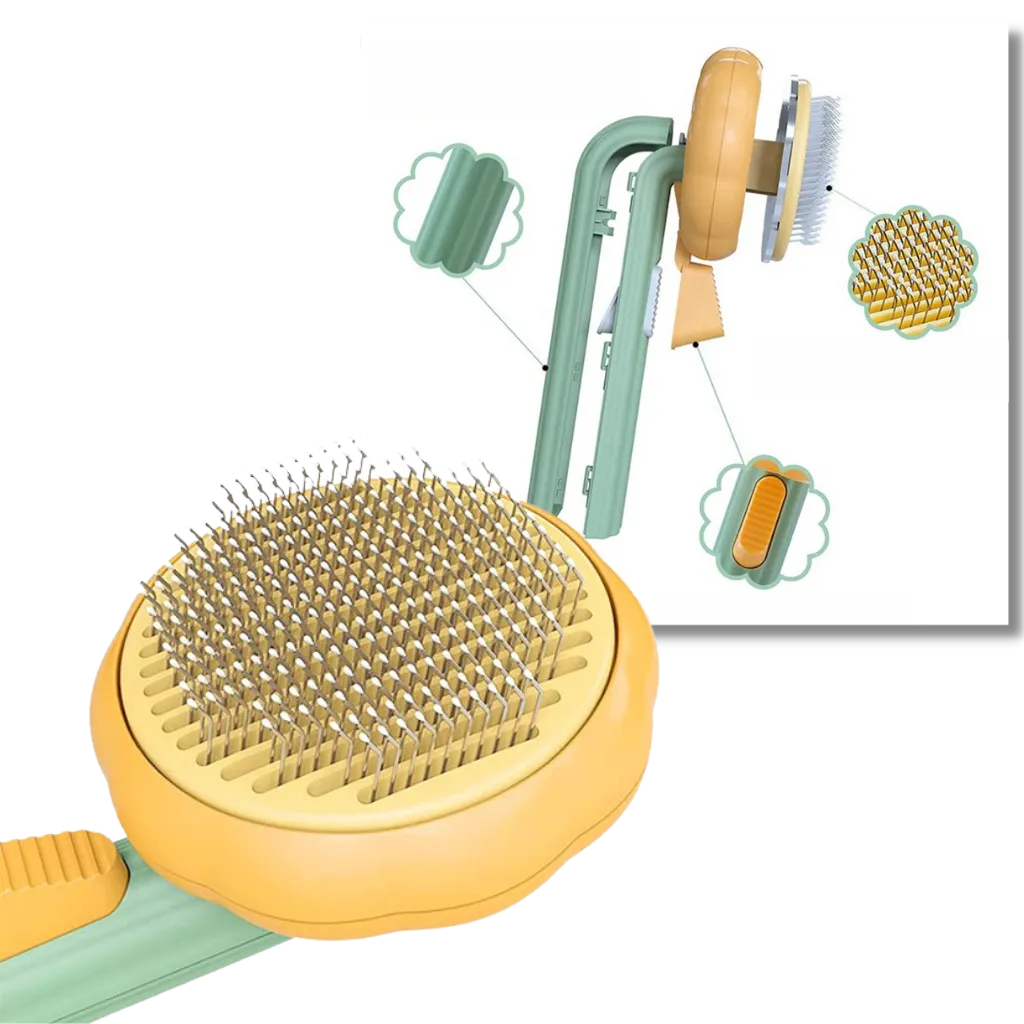 Self-cleaning pumpkin pet brush