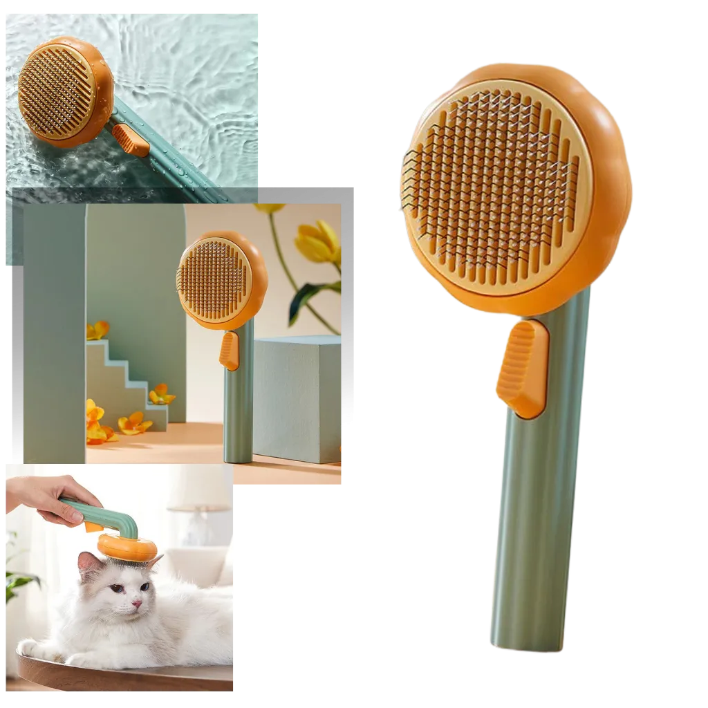 Self-cleaning pumpkin pet brush