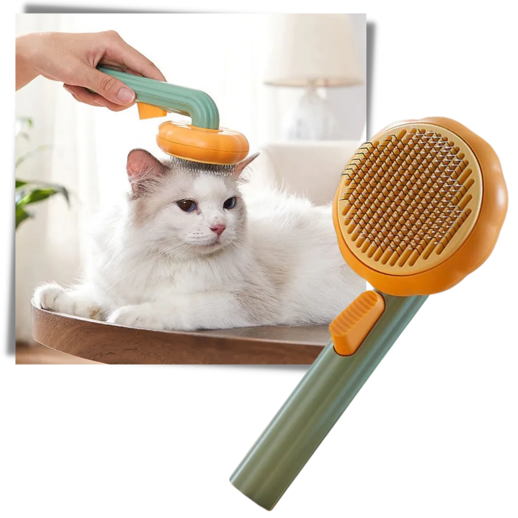 Self-cleaning pumpkin pet brush